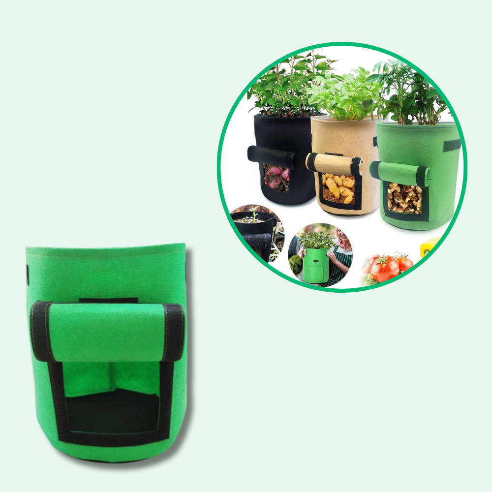 Crescita del sacchetto per la coltivazione della patata