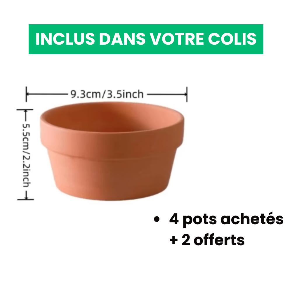 Pots de Fleurs en Terre Cuite Écologiques (4 + 2 Offerts)