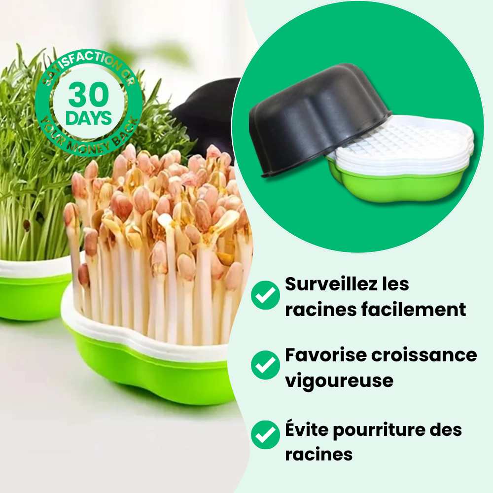 Innovativo vassoio di coltivazione idroponica domestica