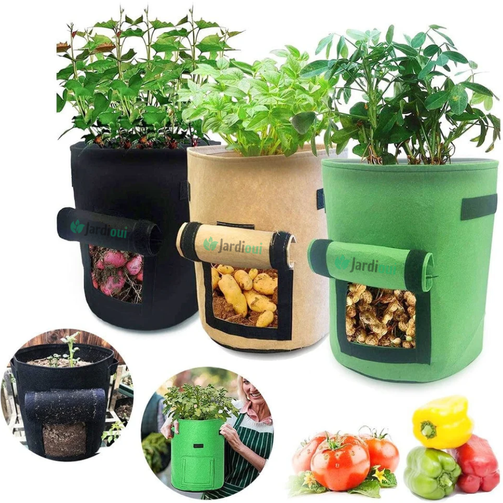 Crescita del sacchetto per la coltivazione della patata