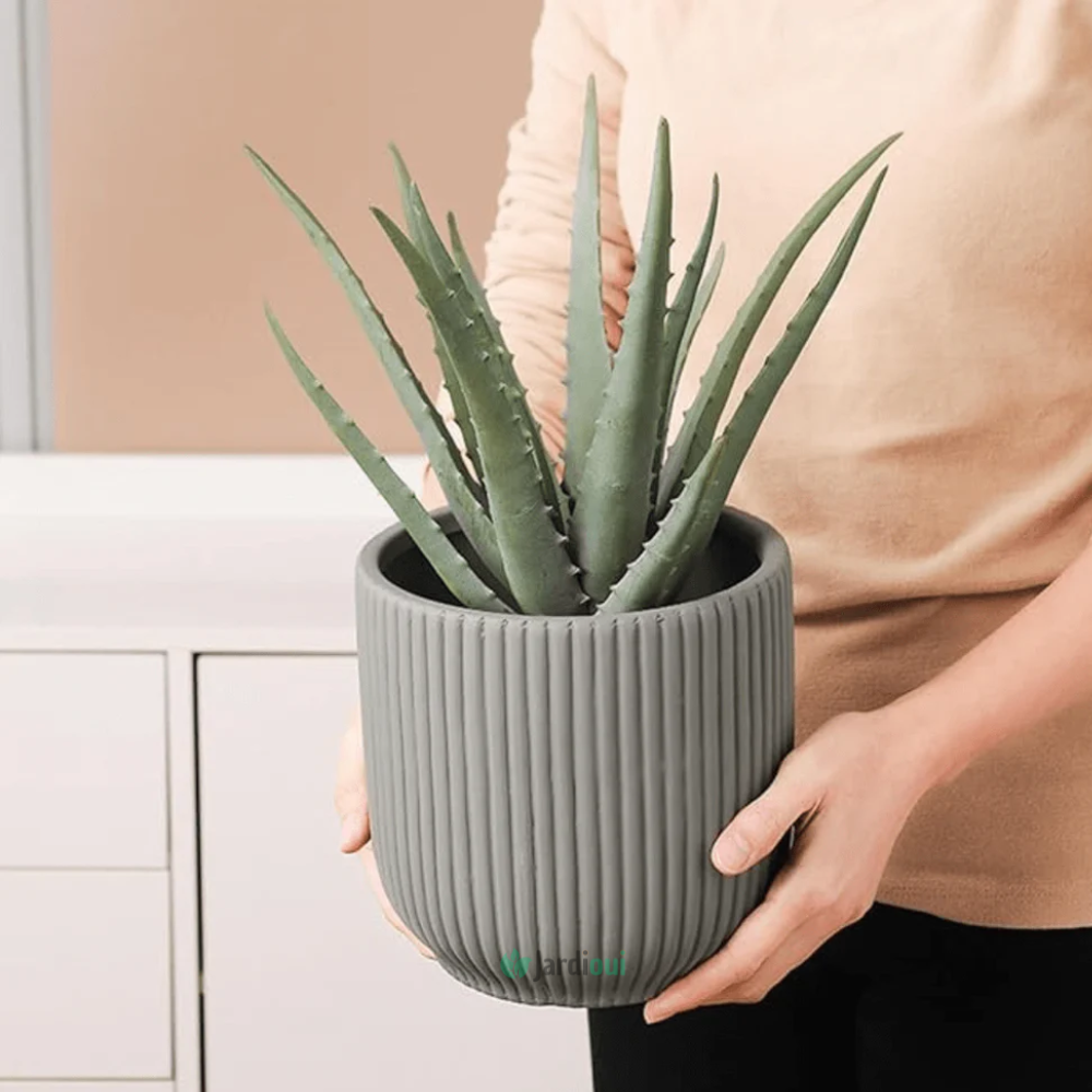 Elegante vaso da fiori in ceramica