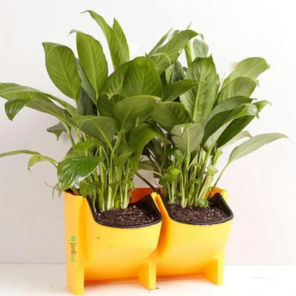 Fioriera verticale autoirrigante (1 pezzo)