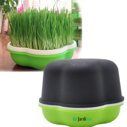 Innovativo vassoio di coltivazione idroponica domestica