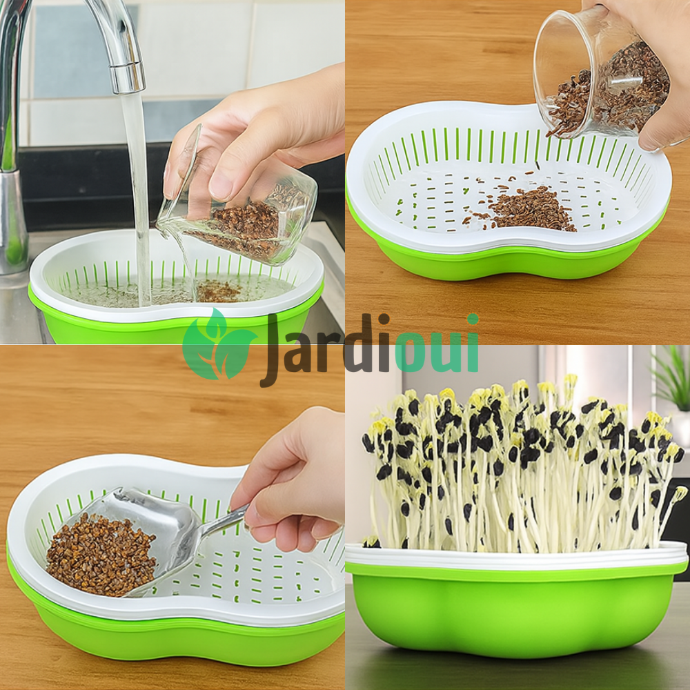 Innovativo vassoio di coltivazione idroponica domestica