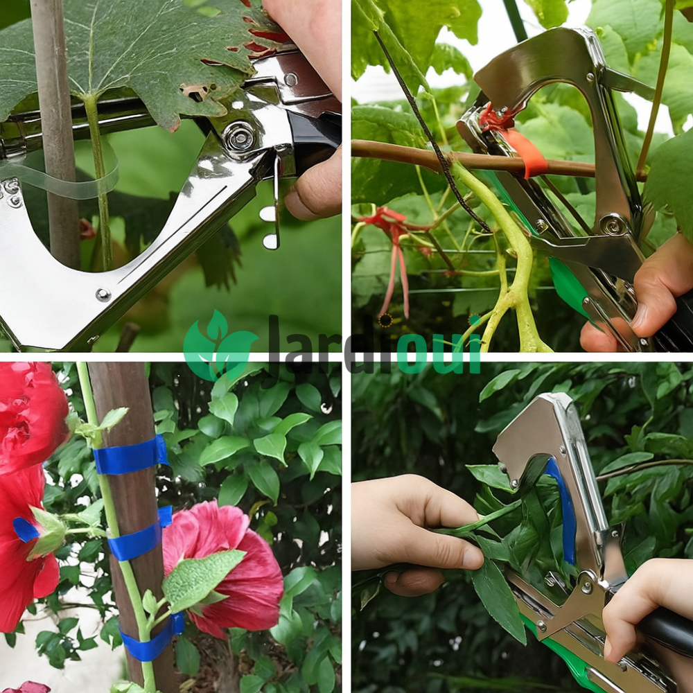 Pince à palisser - Attache branche Révolutionnaire