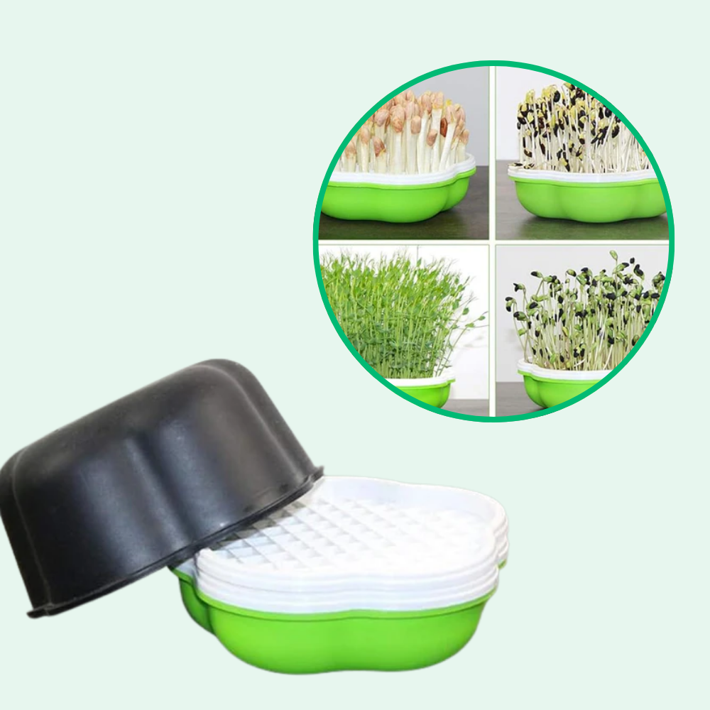 Innovativo vassoio di coltivazione idroponica domestica