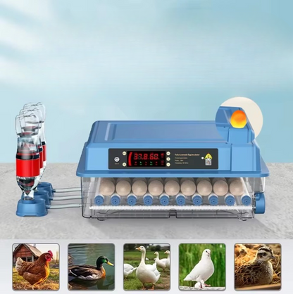 Professional Automatic Incubator Chicken Coop