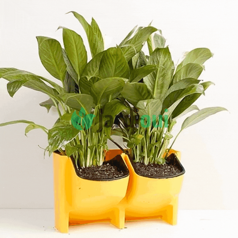 Fioriera verticale autoirrigante (1 pezzo)