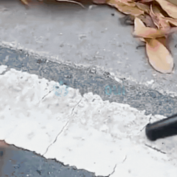 Soffiatore-Aspiratore elettrico senza fili Pro (+ batteria gratuita)