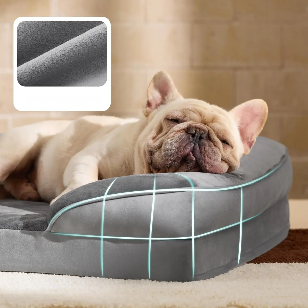 Jardioui Canapé Douillet Orthopédique pour Animaux