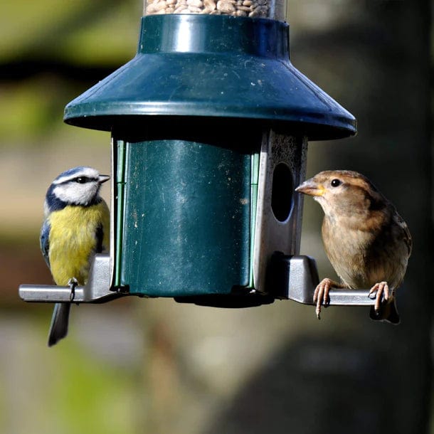 Jardioui Distributeur de Nourriture Ultime pour Oiseaux