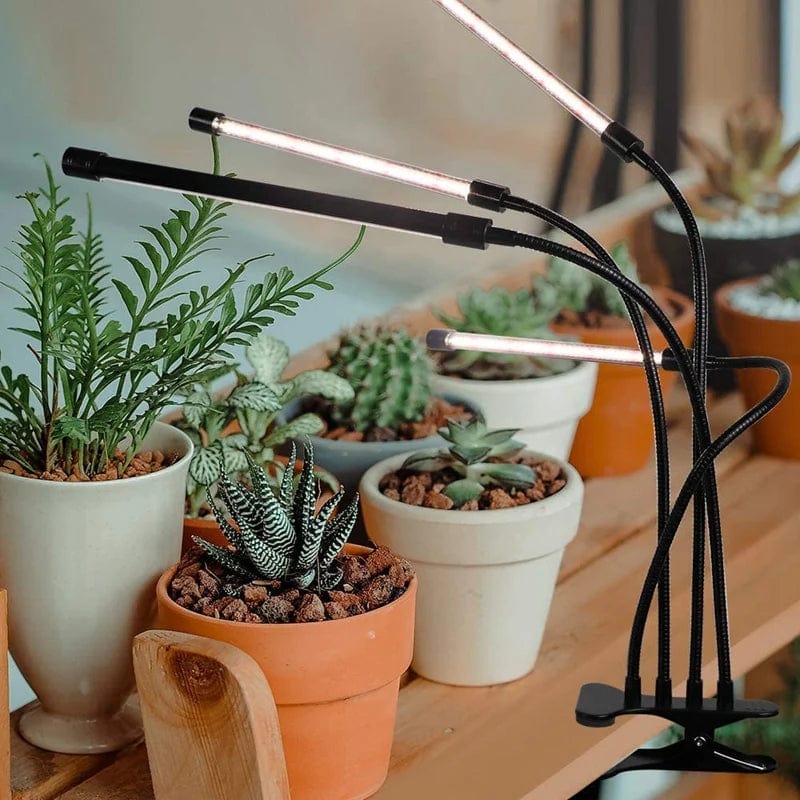 Jardioui Lampe de Croissance Performante pour Plantes d'Intérieur