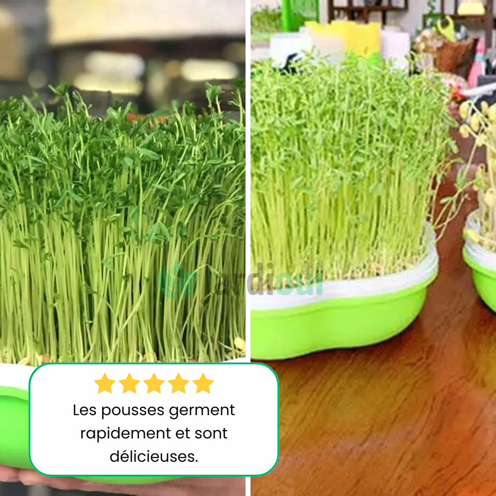 Jardioui Plateau de Culture Hydroponique Maison Innovant