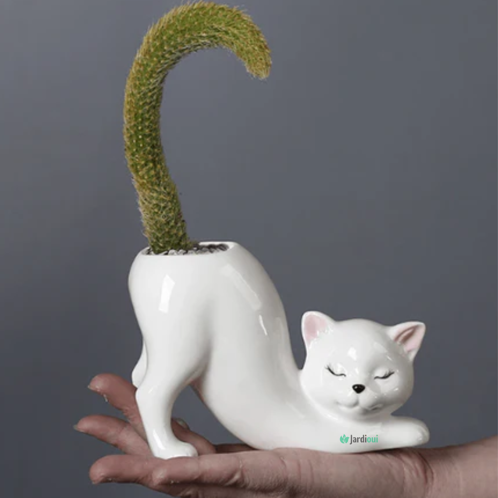 Jardioui Pot de Fleur Chat Adorable